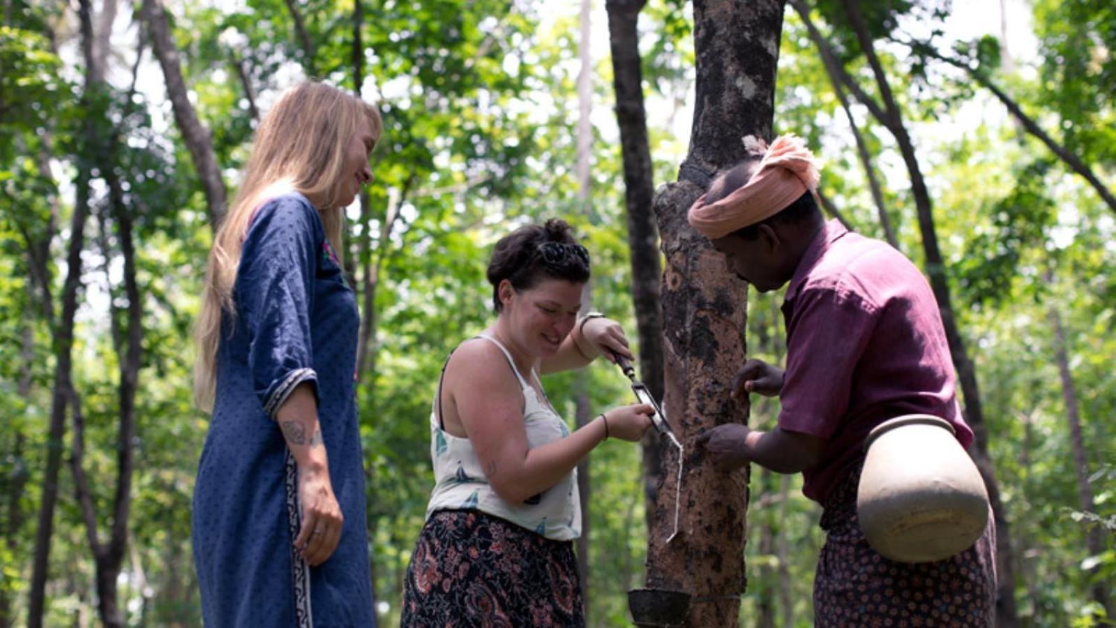Sanjeevini Life Care Village - A Science Based Non - Invasive Holistic Wellness Destination Kochi Kültér fotó